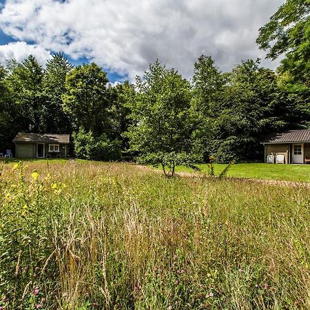 Kievit Villa Appelscha Dış mekan fotoğraf