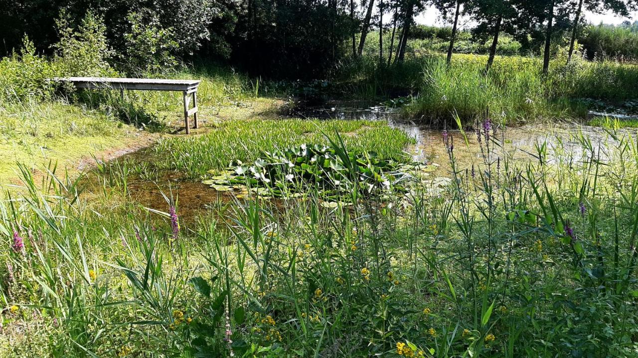Kievit Villa Appelscha Dış mekan fotoğraf