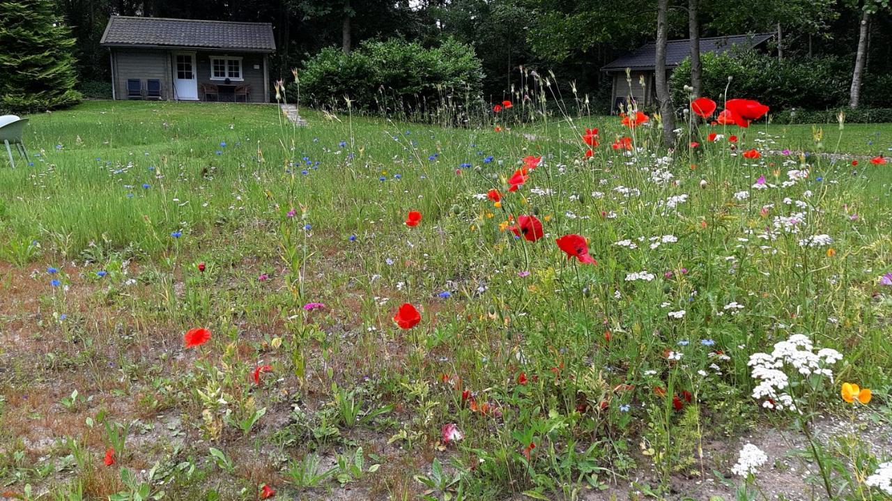 Kievit Villa Appelscha Dış mekan fotoğraf